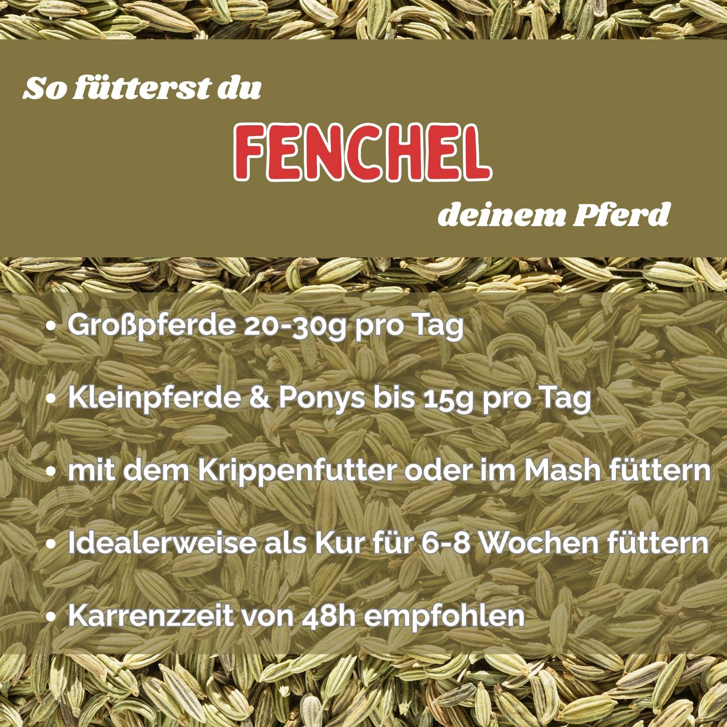 Fenchel Pferd - Hustenkräuter für Pferde - Magenkräuter Pferd