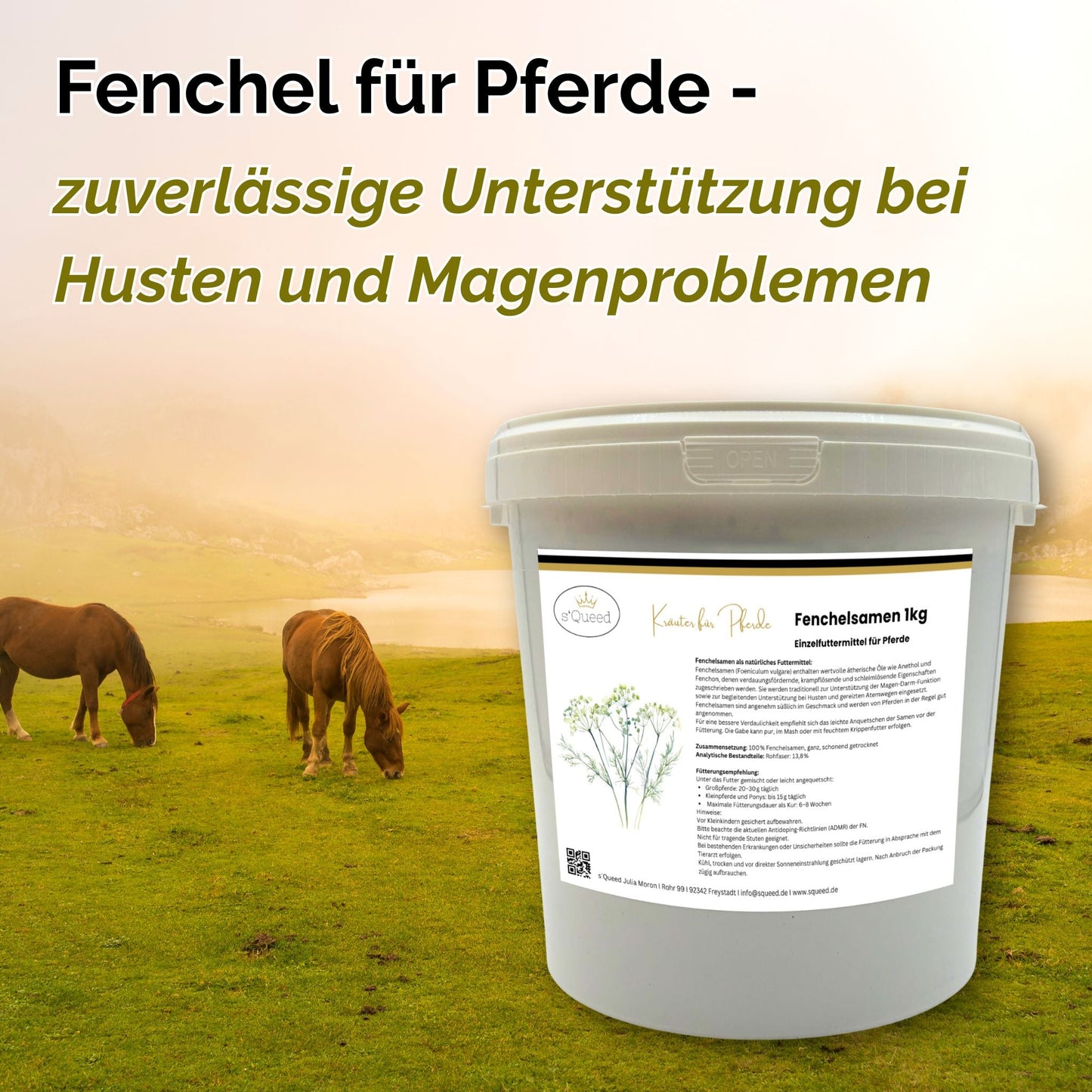 Fenchel Pferd - Hustenkräuter für Pferde - Magenkräuter Pferd