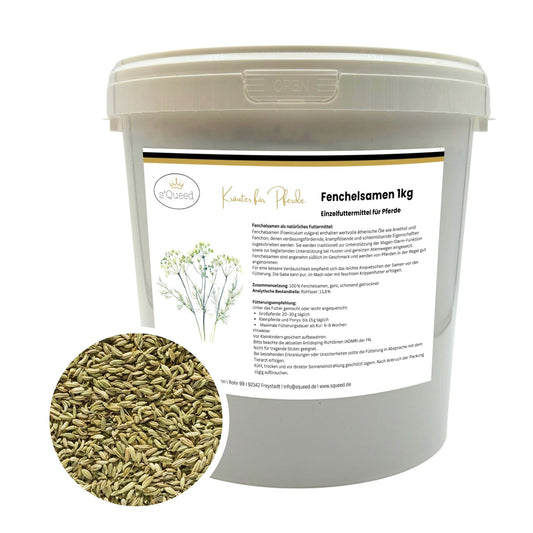 Fenchel Pferd - Hustenkräuter für Pferde - Magenkräuter Pferd