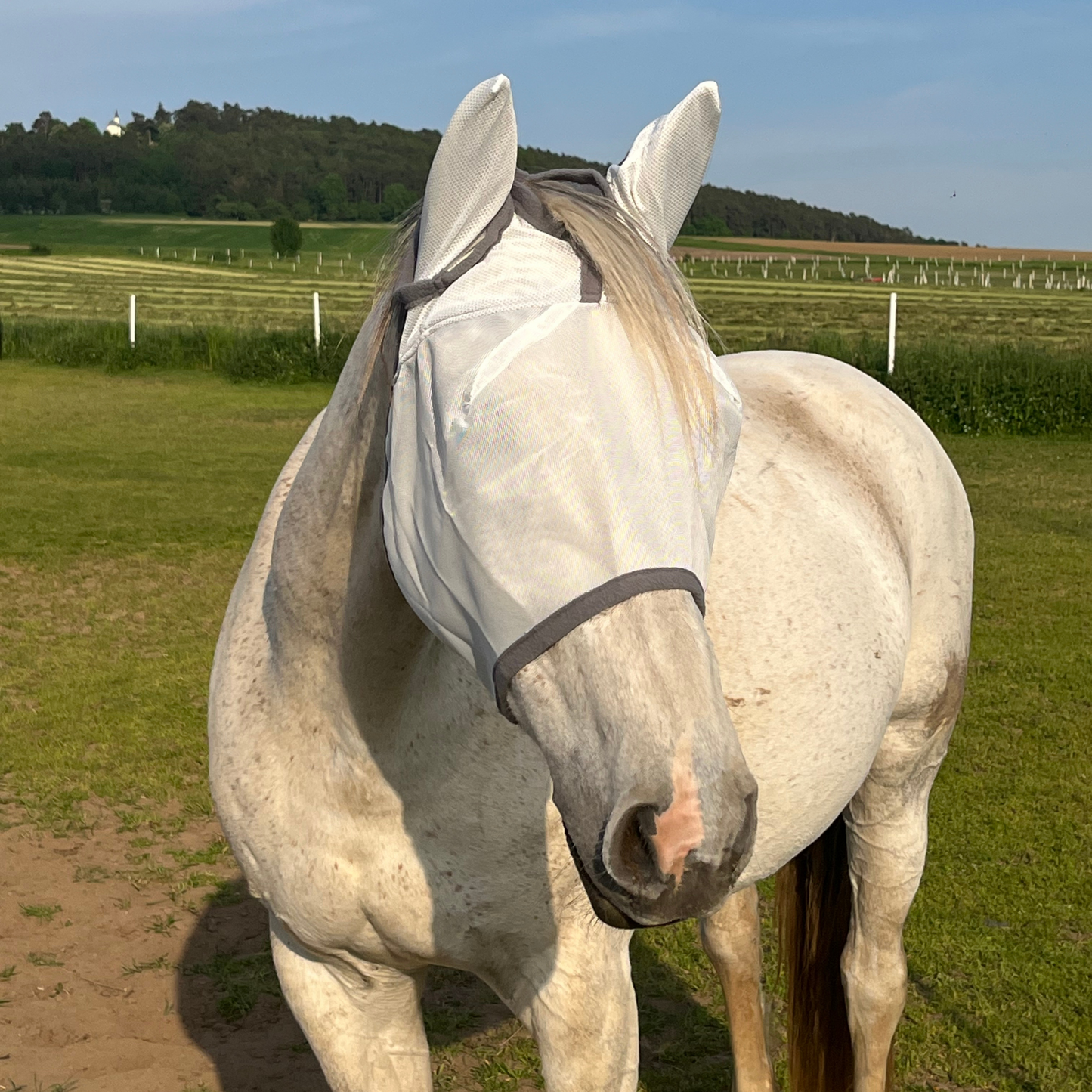 Fliegenmaske Fliegenohren Fliegenschutz für Pferde