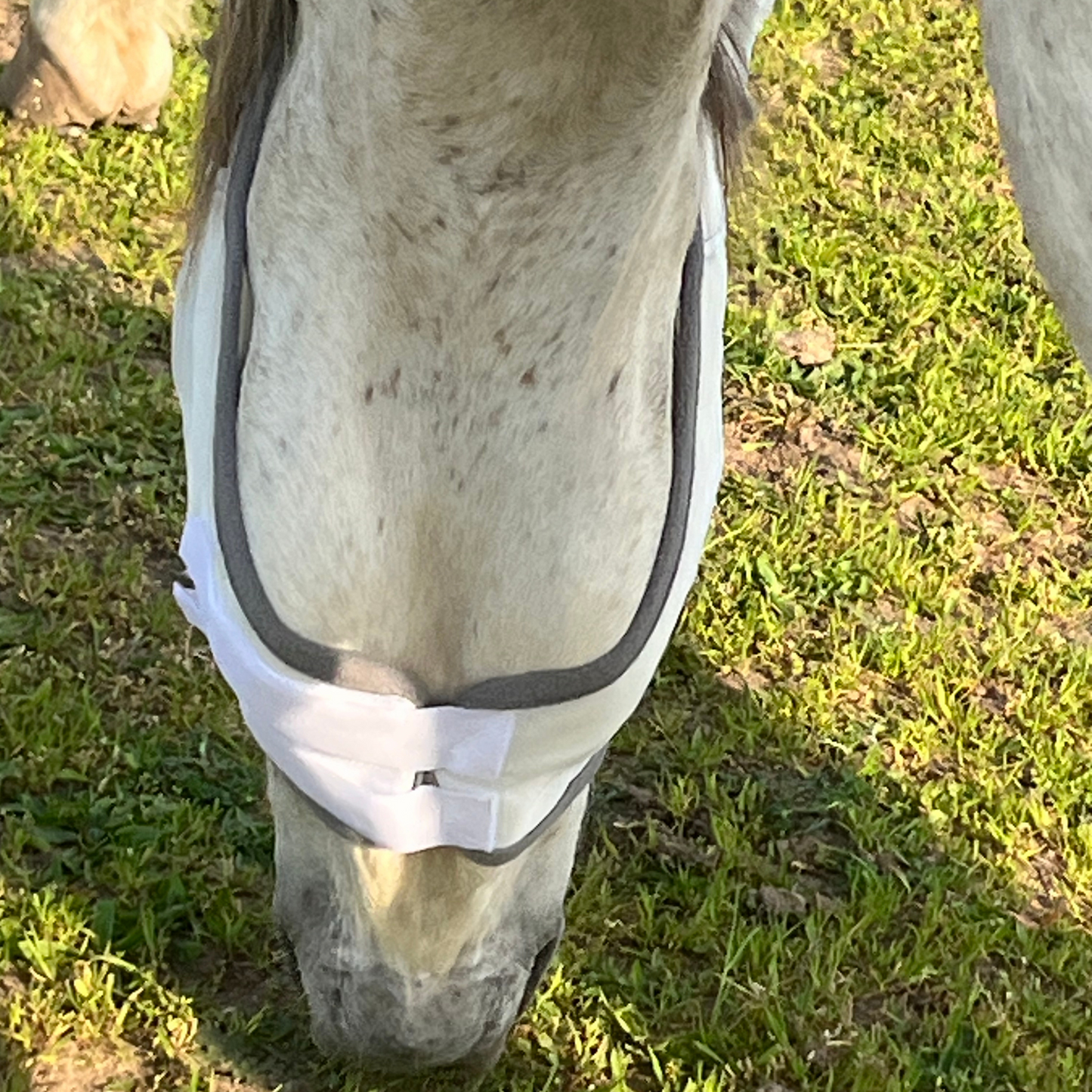 Fliegenmaske Fliegenohren Fliegenschutz für Pferde