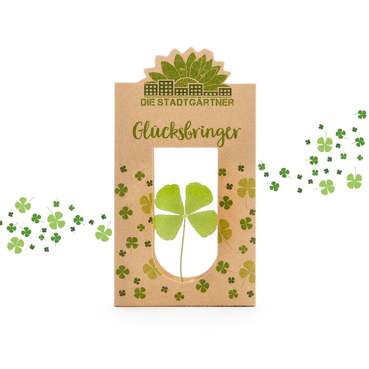 Glücksbringer – Echtes Kleeblatt