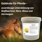 Goldrute Pferd bei Stoffwechselproblemen und für gesunde Nieren und Blase