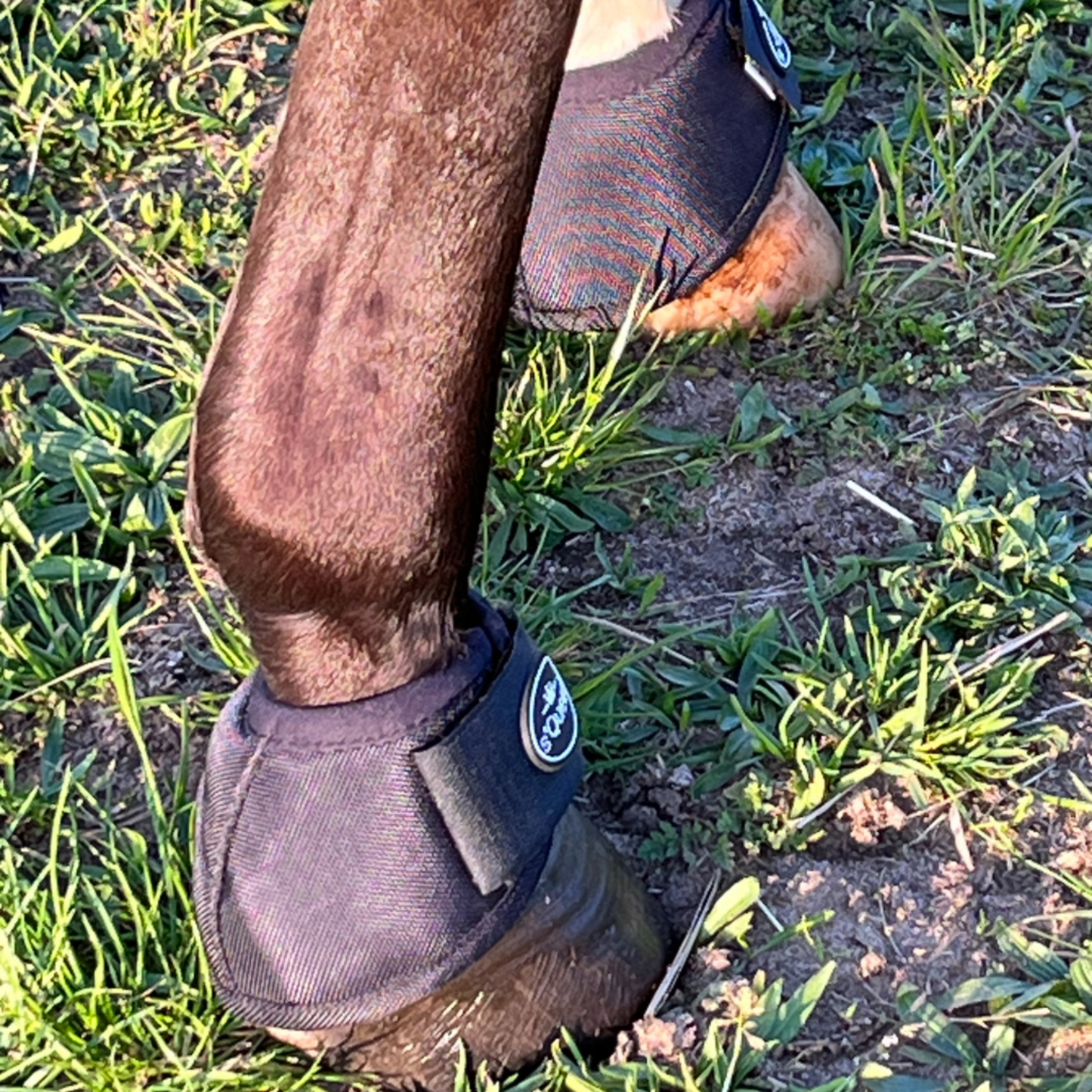 Hufglocken Bell Boots