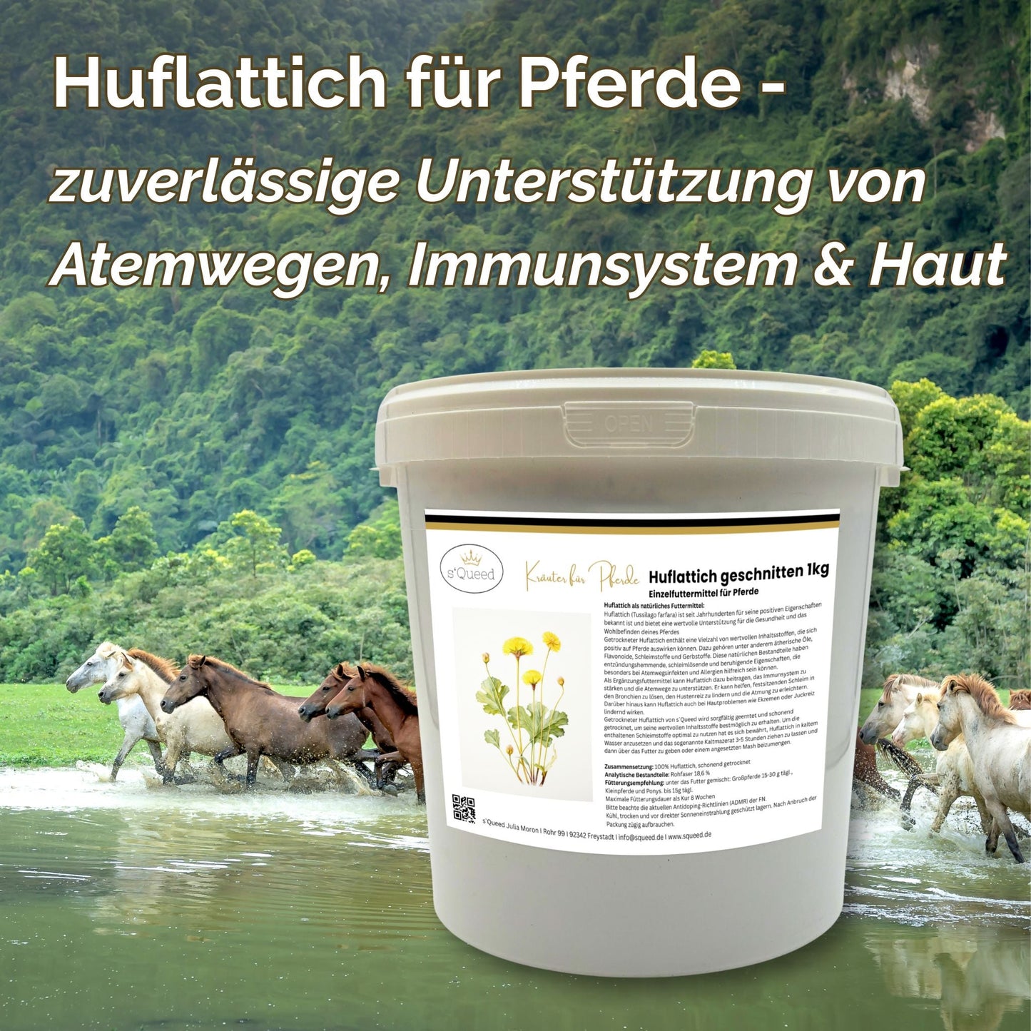 Huflattich Pferd - Hustenkräuter für Pferde - Schleimlöser Pferd