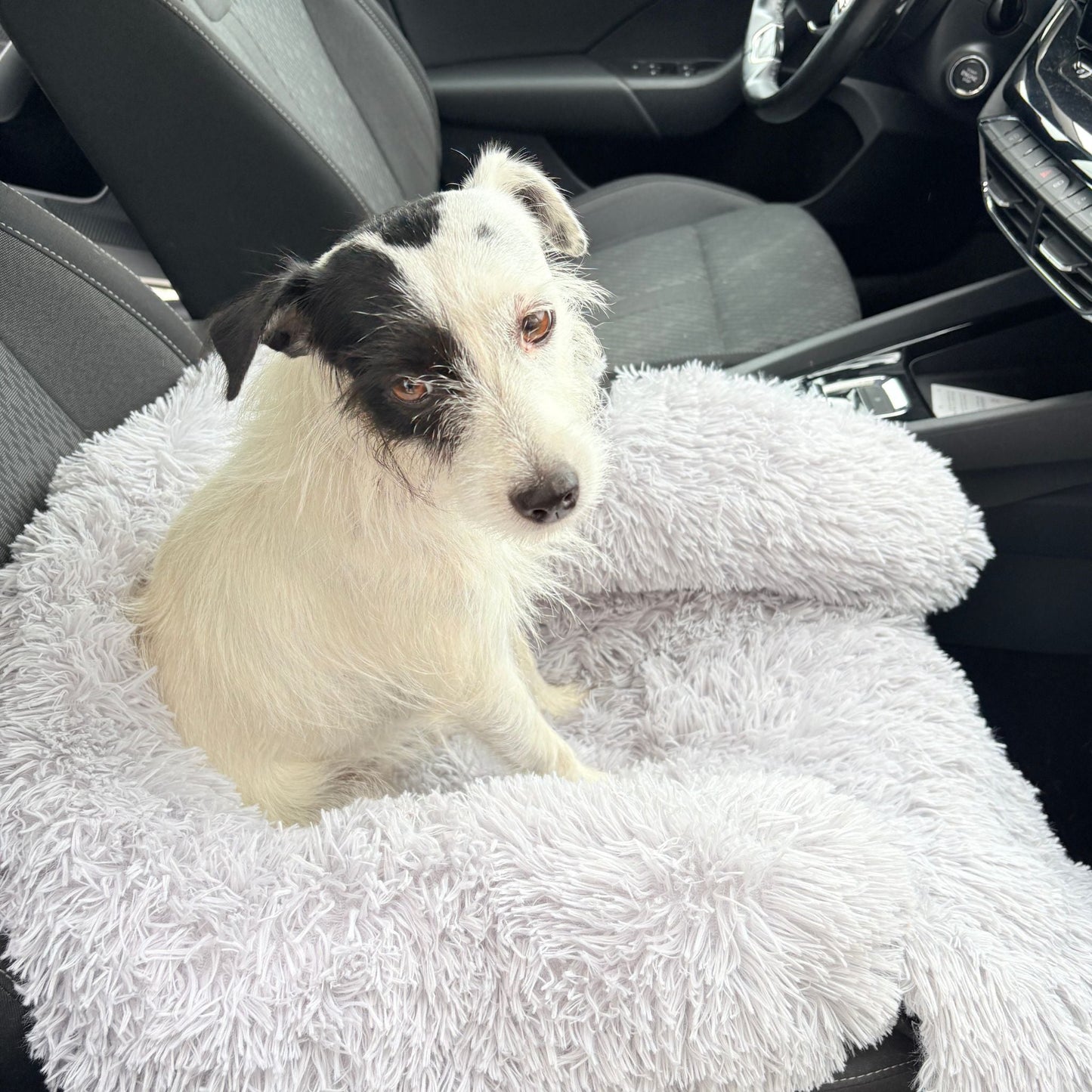 Hundebett "Balu" kuschelig weich & waschbar – mit hohem Rand für Auto & Sofa