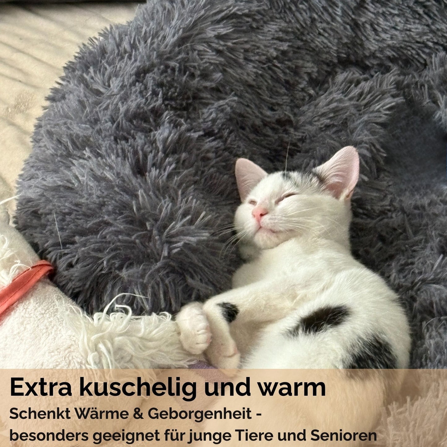 Hundebett "Balu" kuschelig weich & waschbar – mit hohem Rand für Auto & Sofa