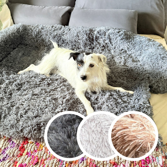 Hundebett "Balu" kuschelig weich & waschbar – mit hohem Rand für Auto & Sofa
