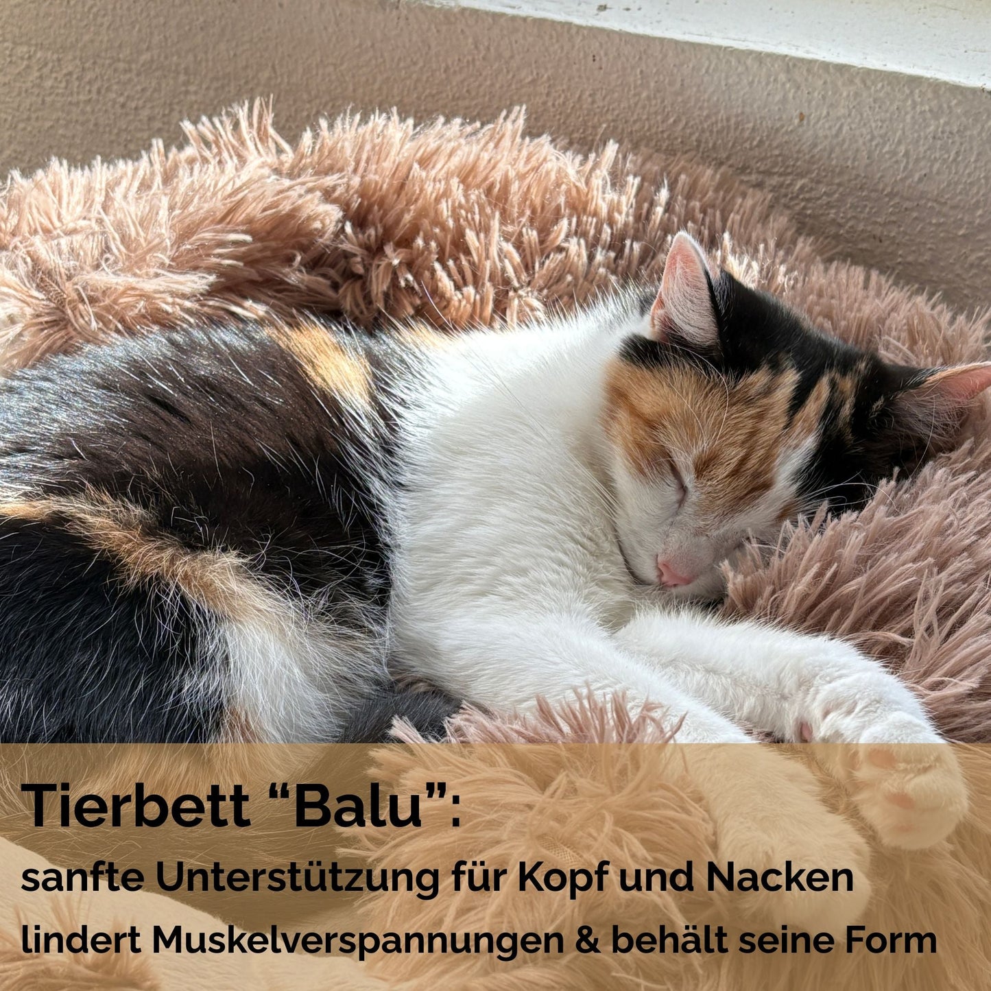 Hundebett "Balu" kuschelig weich & waschbar – mit hohem Rand für Auto & Sofa