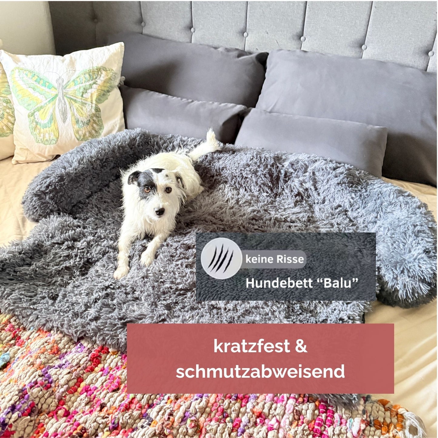 Hundebett "Balu" kuschelig weich & waschbar – mit hohem Rand für Auto & Sofa