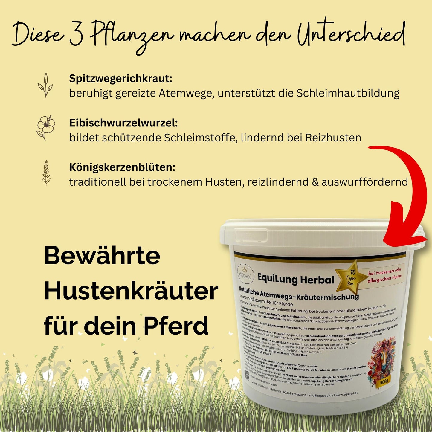 EquiLung Herbal Hustenkräuter für Pferde – bei trockenem oder allergischem Husten