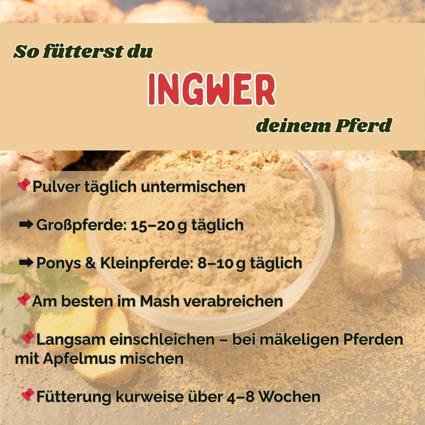 Ingwer Pferd Pulver 1kg