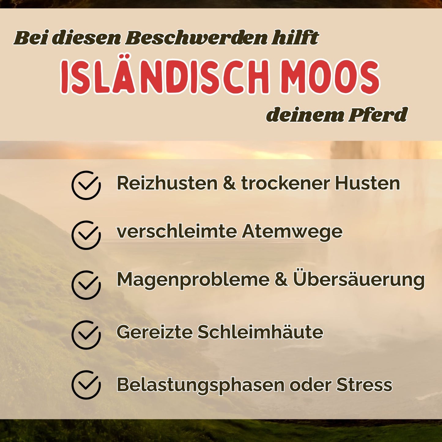 Isländisch Moos Pferd - Hustenkräuter für Pferde - Magenkräuter Pferd