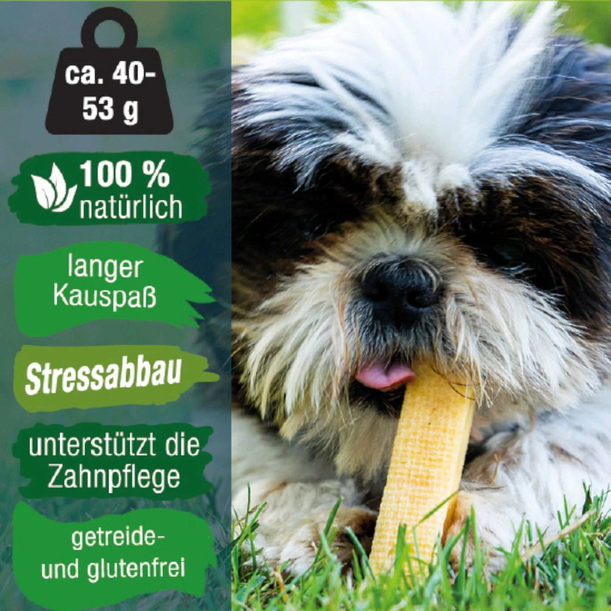 Käsekauknochen aus schmackhaften vegetarischer Hartkäse von Dauerkauer