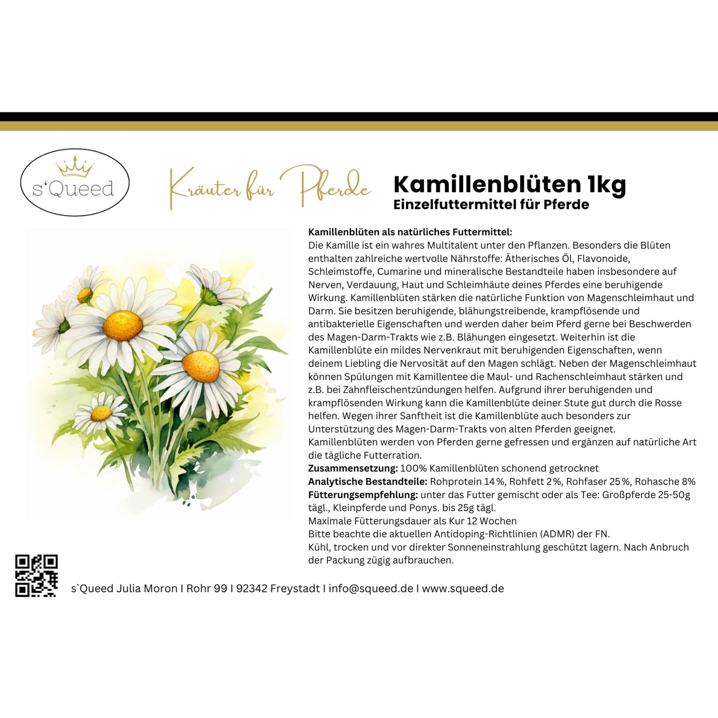 Kamille Pferd ganze Blüte