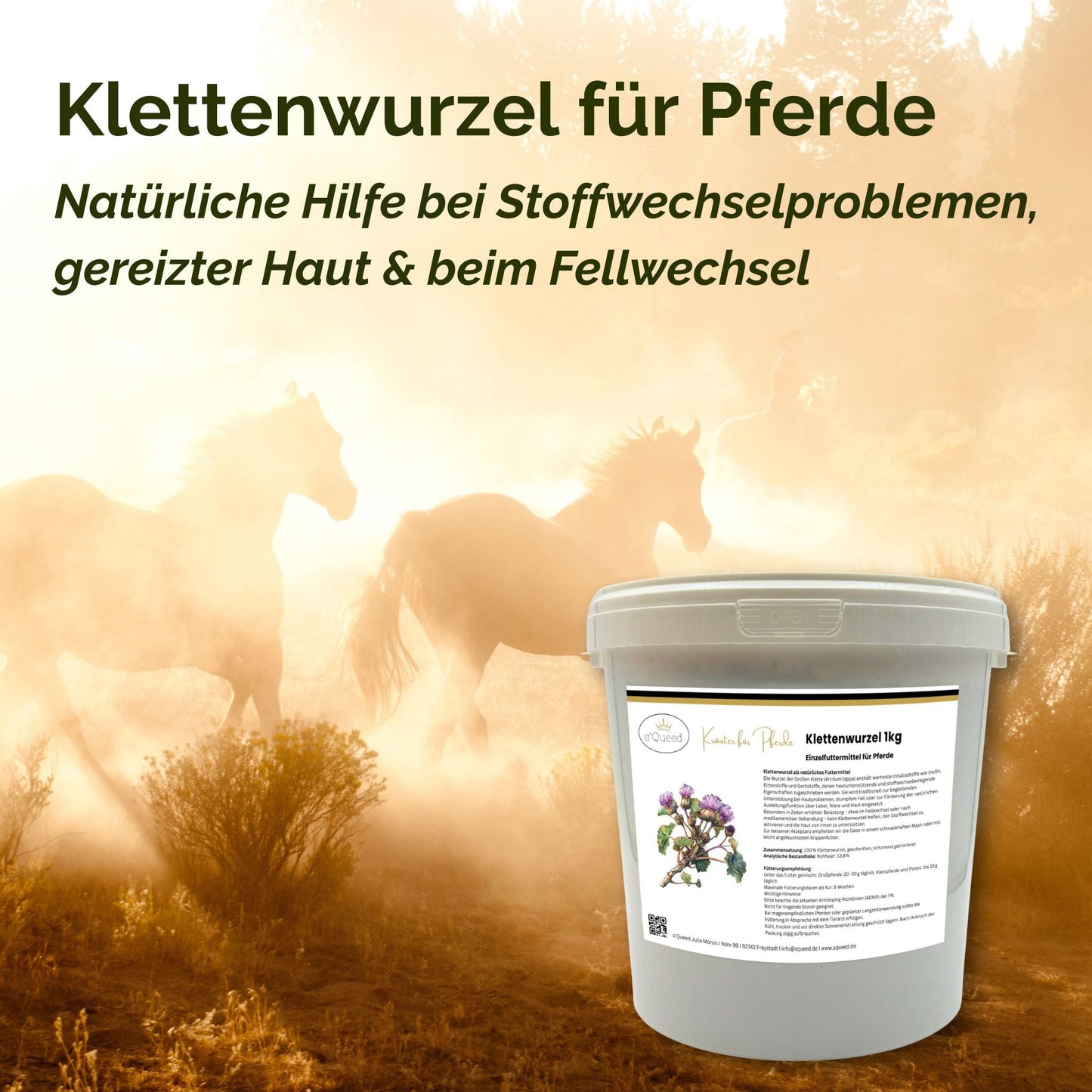 Klettenwurzel Pferd für Stoffwechsel, Haut & Fellwechsel