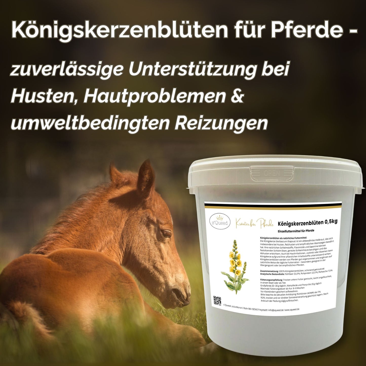 Königskerzenblüten Pferd - Hustenkräuter für Pferde - Schleimlöser Pferd