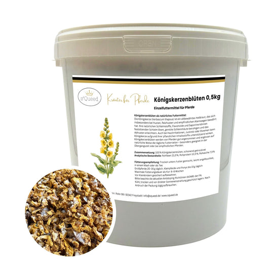 Königskerzenblüten Pferd - Hustenkräuter für Pferde - Schleimlöser Pferd