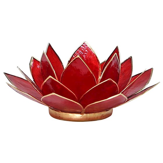 Lotus Teelicht Capiz - aus natürlicher Capiz Muschel