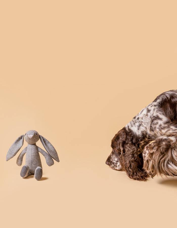 Kuscheltier RUPERT der Hase mit Knisterohren und robustem Oekotexstoff