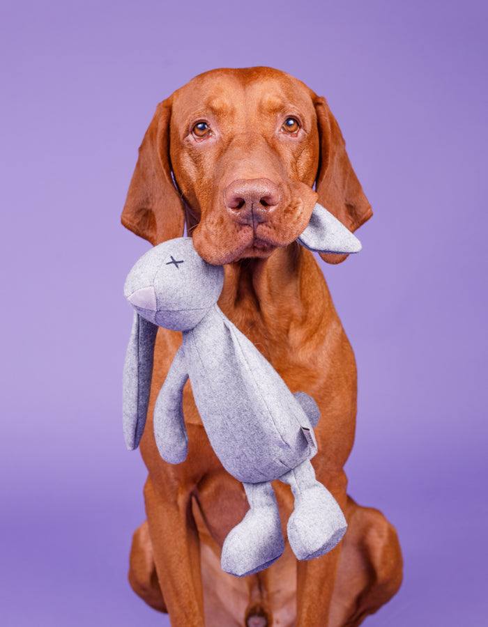 Kuscheltier RUPERT der Hase mit Knisterohren und robustem Oekotexstoff