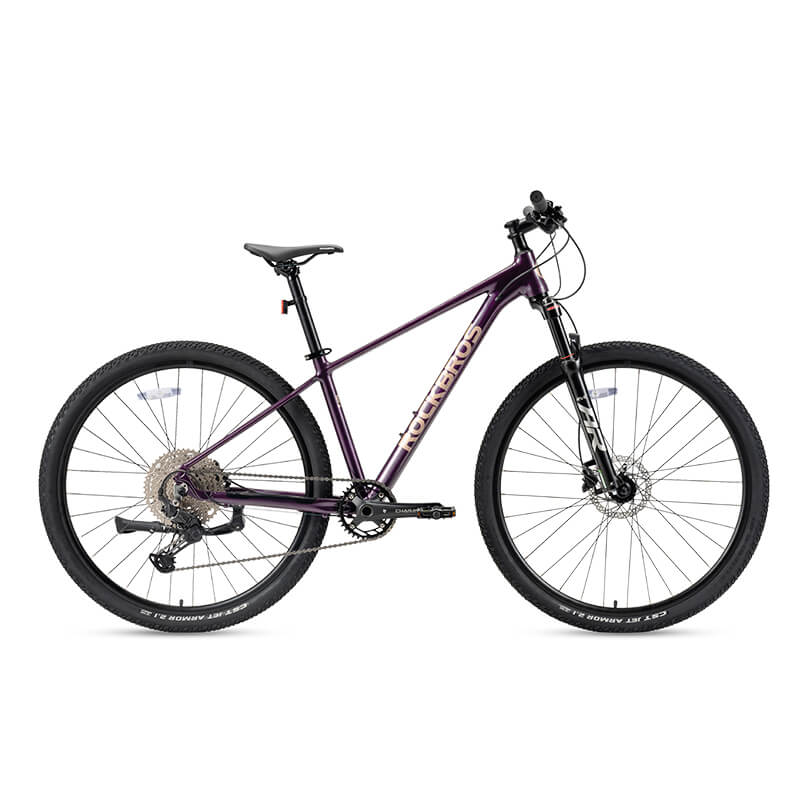 MT400 29E MTB