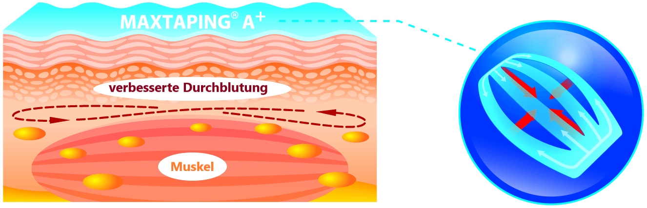 Maxtaping A+ / 8195BU/RD
