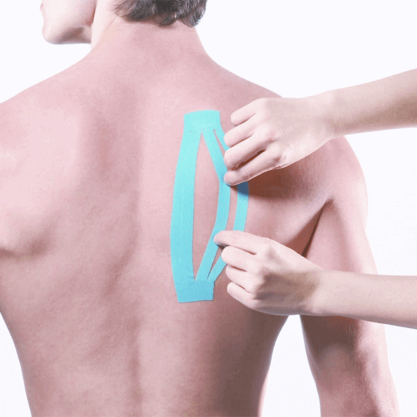 Maxtaping A+ / 8195BU/RD