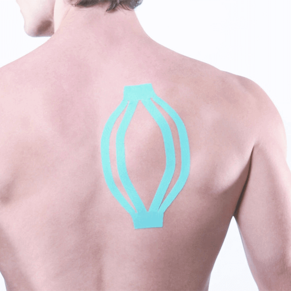 Maxtaping A+ / 8095BU/RD