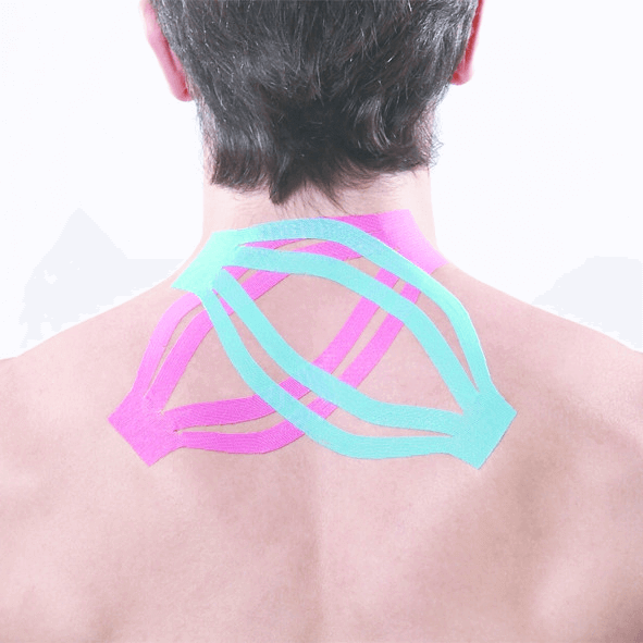 Maxtaping A+ / 8095BU/RD