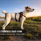 Anti-Stress-Geschirr STURMFREI® Saver für kleine bis mittlere Hunde