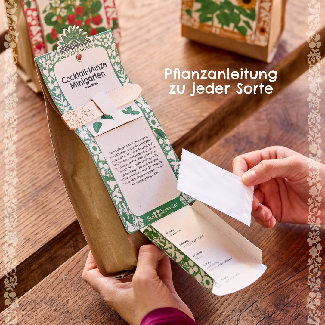 Anzuchtset – Minigarten BIO-Lavendel