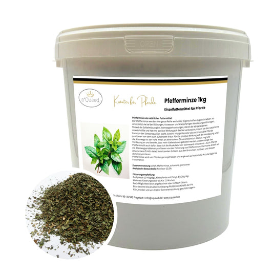Pfefferminze Pferd - Hustenkräuter, Darmkräuter und Nervenkräuter für Pferde