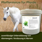 Pfefferminze Pferd - Hustenkräuter, Darmkräuter und Nervenkräuter für Pferde