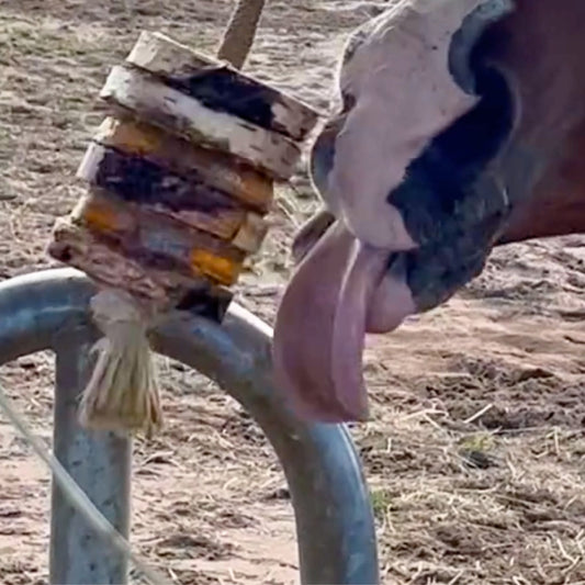 Schleck Twister Spielzeug für Pferde; Set aus Birkenholzhalterung und 2 Schleck Twister Scheiben deiner Wahl