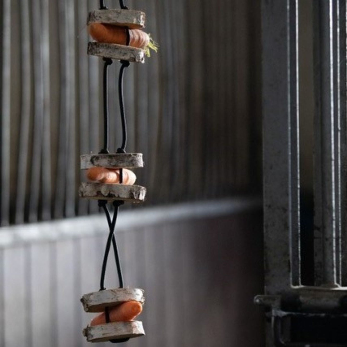 Pferdespielzeug Möhren-Tarzan – Spielzeug für Pferde gegen Langeweile – Pferdebeschäftigung