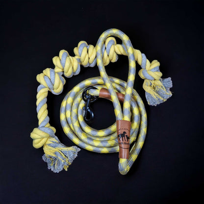 Hundeleine grau gelb Angebot mit gratis Tauseil zum spielen und zerren