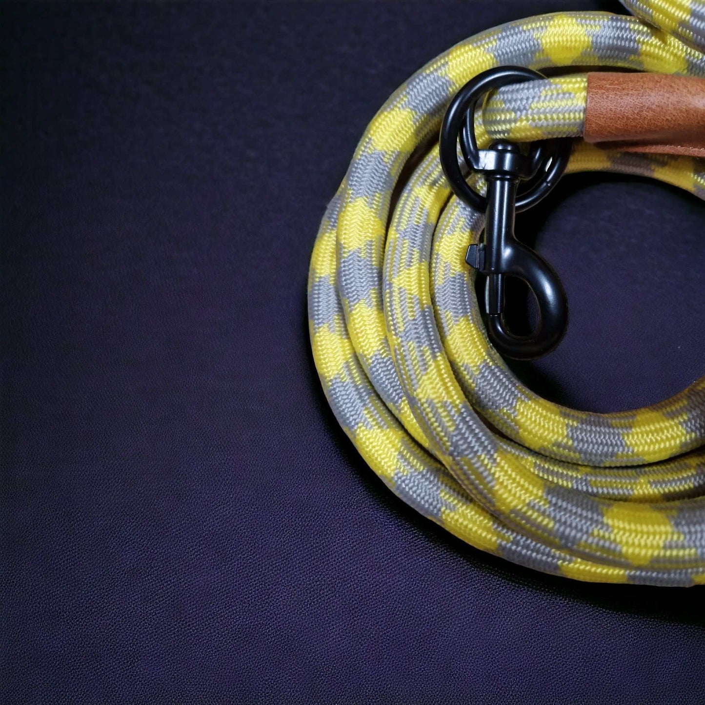 Hundeleine grau gelb Angebot mit gratis Tauseil zum spielen und zerren