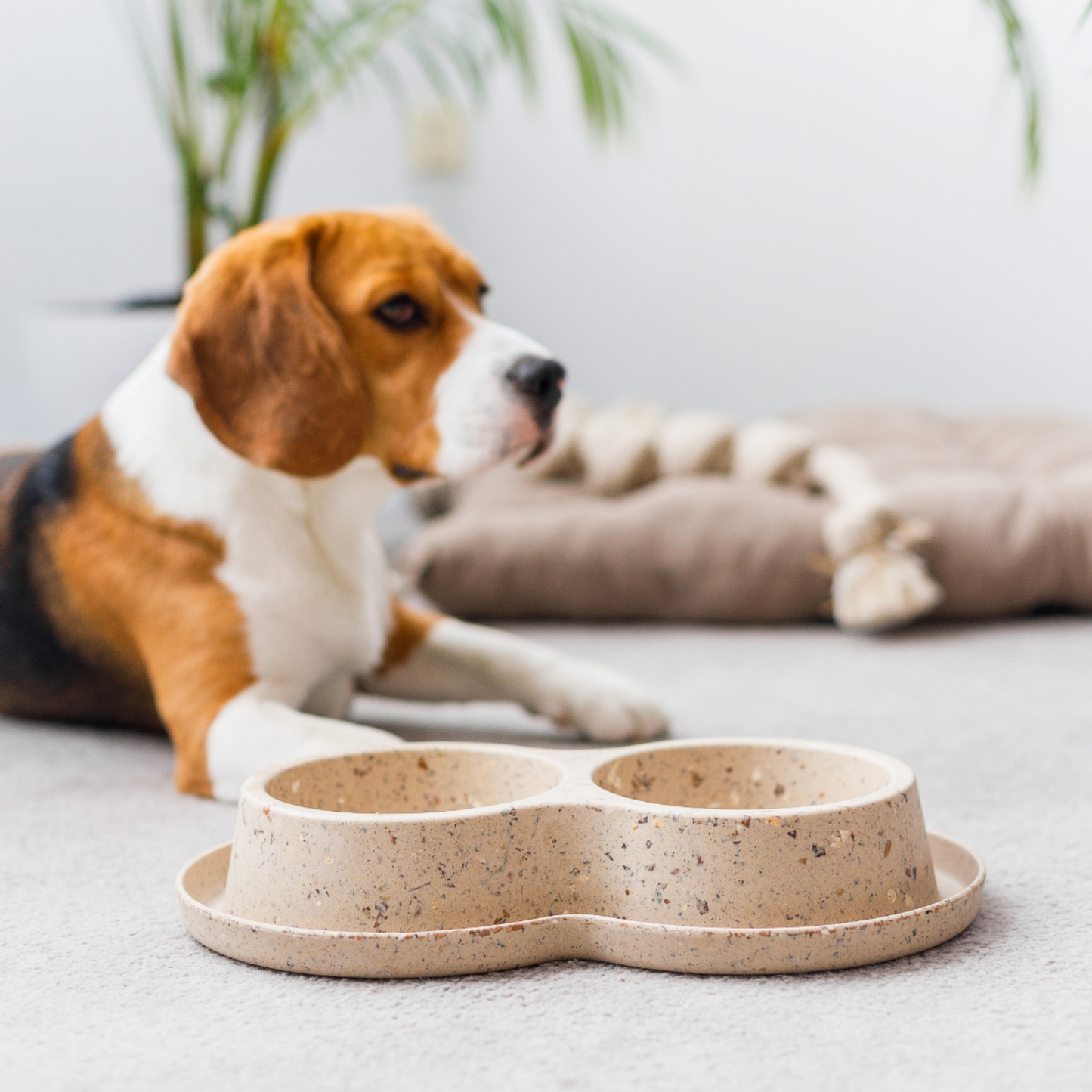 Nachhaltiger Biokunststoff Doppelfressnapf aus Bambus und Kaffeebohnen