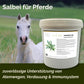Salbei Pferd - Hustenkräuter für Pferde - Magenkräuter & Immunkräuter