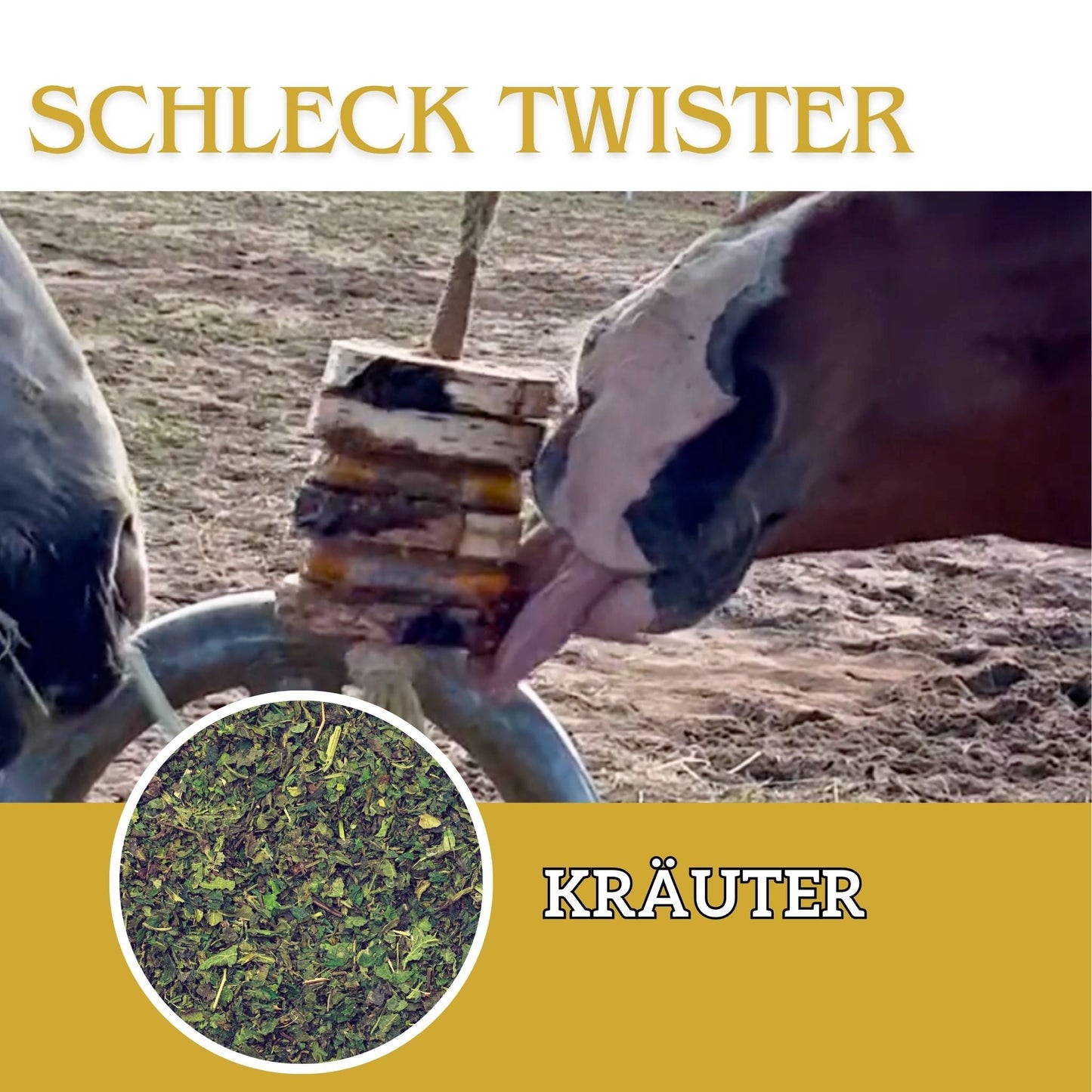 Schleck Twister Spielzeug für Pferde; Set aus Birkenholzhalterung und 2 Schleck Twister Scheiben deiner Wahl