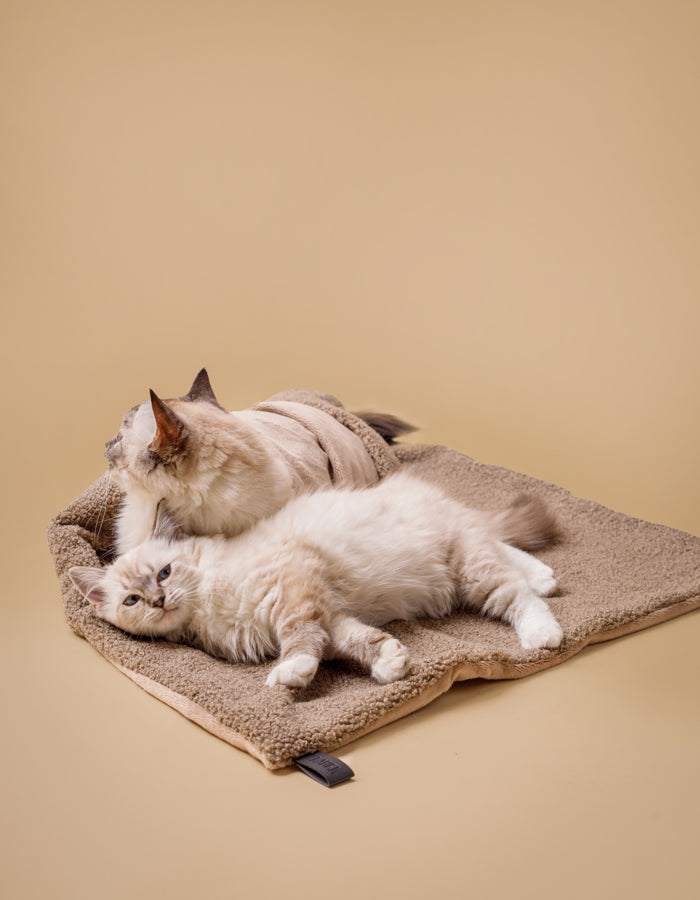 Kuscheldecke MINKY gemütlich und umweltfreundlich aus recycelten PET