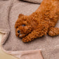 Kuscheldecke MINKY gemütlich und umweltfreundlich aus recycelten PET