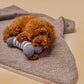 Kuscheldecke MINKY gemütlich und umweltfreundlich aus recycelten PET