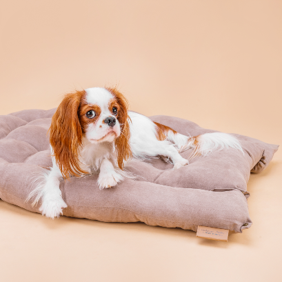 Leichte Matte mit Kissen mit drei verschiedenen Liegemöglichkeiten