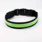 LED Hundehalsband, Stabiles Nylon mit USB Anschluß