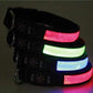 LED Hundehalsband, Stabiles Nylon mit USB Anschluß