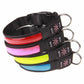 LED Hundehalsband, Stabiles Nylon mit USB Anschluß