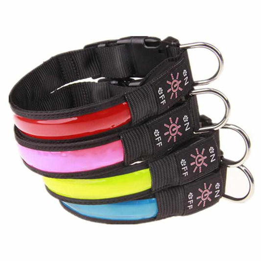 LED Hundehalsband, Stabiles Nylon mit USB Anschluß