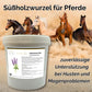 Süßholzwurzel Pferd - Hustenkräuter für Pferde - Magenkräuter Pferd